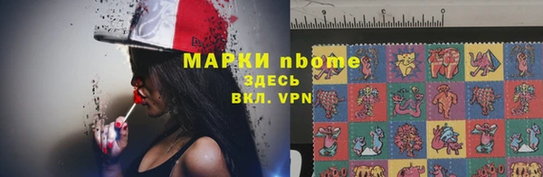 твердый Каменногорск