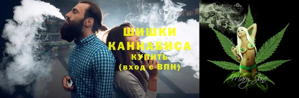 дурь Каменка