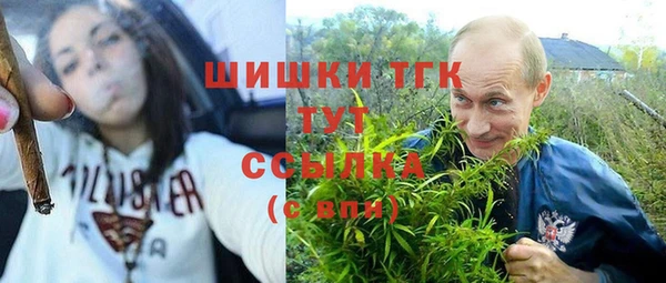 дурь Каменка