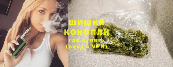 дурь Каменка