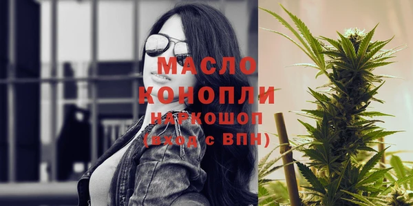 дурь Каменка