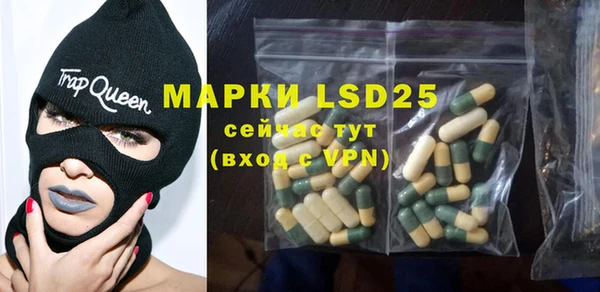 дурь Каменка