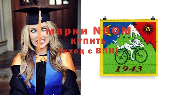 дурь Каменка