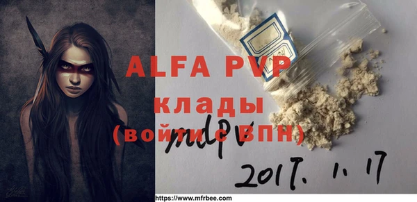 дурь Каменка