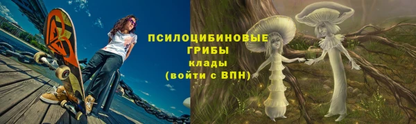 мет Каменск-Шахтинский